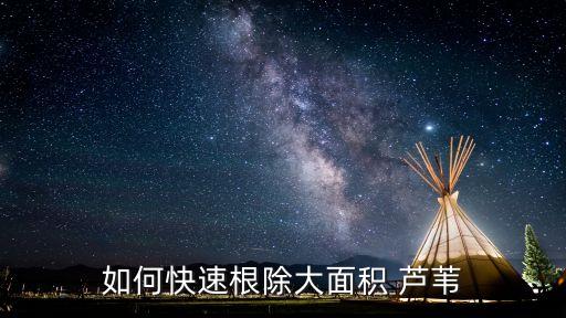 蘆葦爛根用什么農(nóng)藥,什么農(nóng)藥可以快速殺死蘆葦
