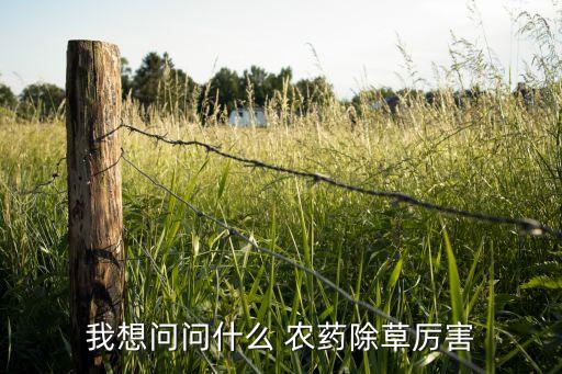 我想問問什么 農(nóng)藥除草厲害