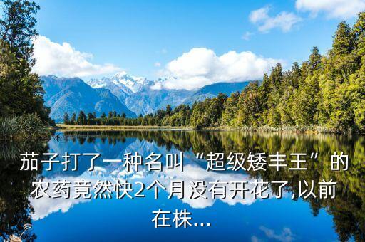 什么農藥讓茄子又大又長,茄子不能用什么農藥