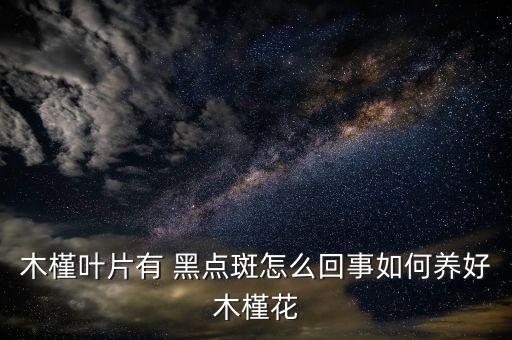 木槿葉片有 黑點斑怎么回事如何養好木槿花
