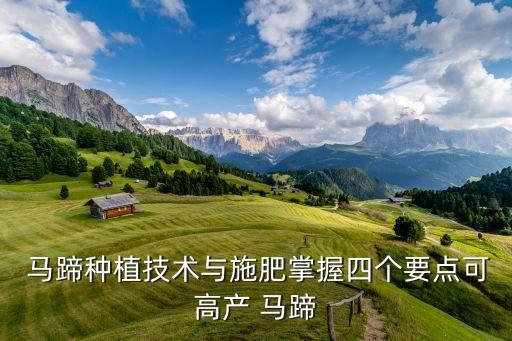 種馬蹄用什么農(nóng)藥最好,馬蹄什么地方出的最好吃?