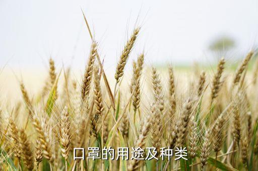  口罩的用途及種類