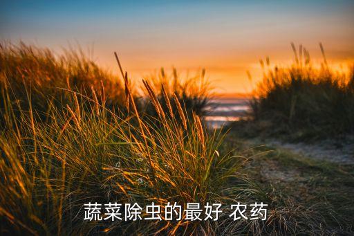 農(nóng)藥殺青菜蟲用什么藥,青菜打什么農(nóng)藥效果好