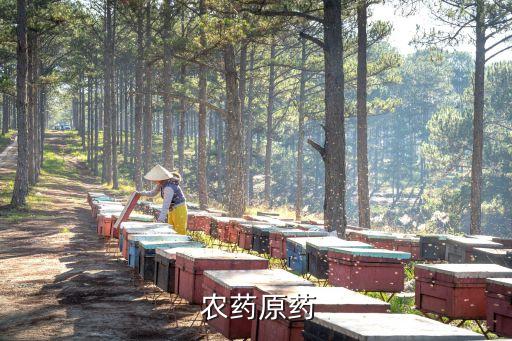 以前農藥成分是什么的,農藥福星成分是什么