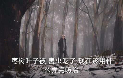  棗樹葉子被 害蟲吃了,現(xiàn)在該用什么弄完防治