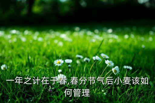 一年之計在于春,春分節氣后小麥該如何管理