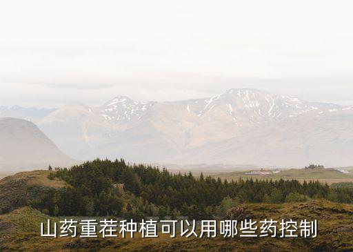 山藥打什么農藥不長豆,山藥有蟲用什么農藥