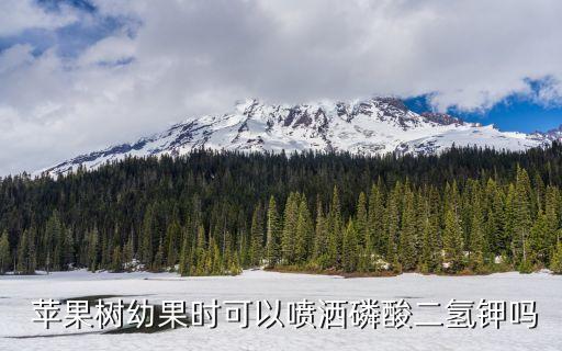  蘋果樹幼果時可以噴灑磷酸二氫鉀嗎
