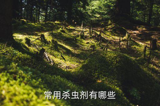 蟲害用什么農藥,月季花防蟲害用什么農藥