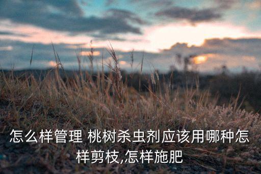 桃樹打什么農藥增產多,桃樹怎么打農藥