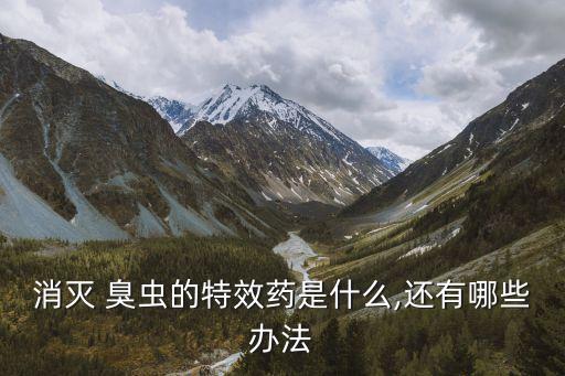 消滅 臭蟲的特效藥是什么,還有哪些辦法