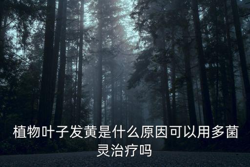 植物變黃枯萎打什么農(nóng)藥