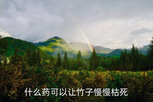 竹林用什么農(nóng)藥除草好,什么農(nóng)藥除草不傷菜