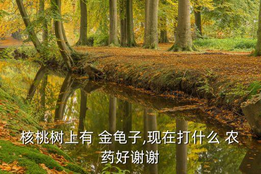 核桃樹上有 金龜子,現在打什么 農藥好謝謝