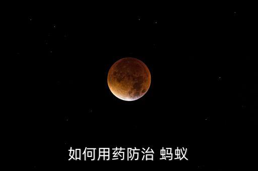 如何用藥防治 螞蟻