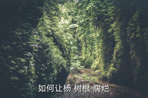 樹根腐爛使用什么農藥,什么農藥可以把樹根殺死