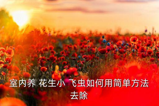 用什么農(nóng)藥消滅花生飛蟲,養(yǎng)花生出來(lái)的小飛蟲怎么消滅