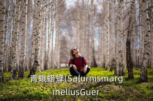 青蛾蠟蟬(SalurnismarginellusGuer