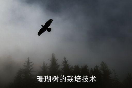  珊瑚樹的栽培技術