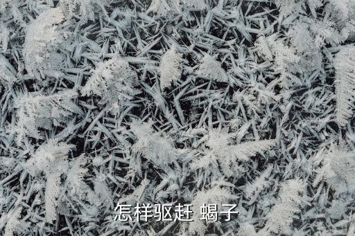 樹蝎子最怕什么農藥,廣玉蘭樹怕什么農藥