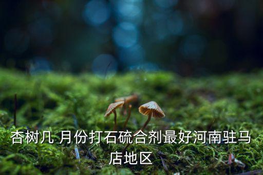 杏樹幾 月份打石硫合劑最好河南駐馬店地區
