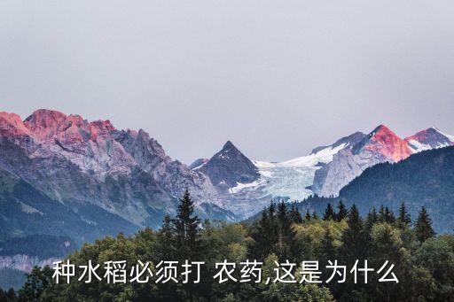 為什么一定要用農藥,國家為什么不禁止農藥