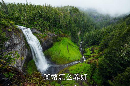 ,用什么農藥可以打死斑蝥