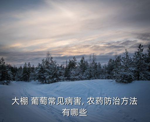 葡萄農(nóng)藥多了會(huì)引發(fā)什么