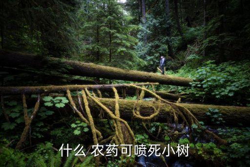 什么 農藥可噴死小樹