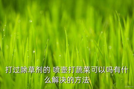 打農藥噴壺叫什么名,噴壺按的地方叫什么