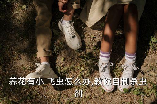 養(yǎng)花有小 飛蟲怎么辦,教你自制殺蟲劑