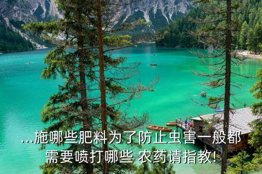 ...施哪些肥料為了防止蟲害一般都需要噴打哪些 農藥請指教!