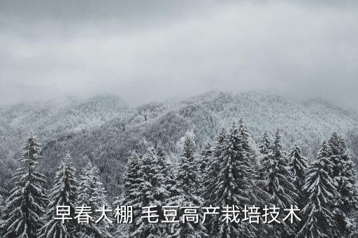 早春大棚 毛豆高產栽培技術