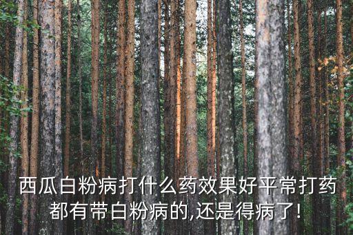 什么農藥對西瓜最好,西瓜用什么農藥殺蟲
