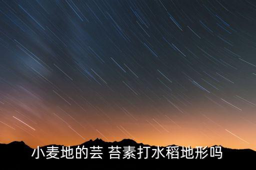 小麥地的蕓 苔素打水稻地形嗎