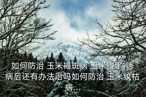 玉米高感南方銹病是什么意思,玉米專治銹病的農(nóng)藥是什么