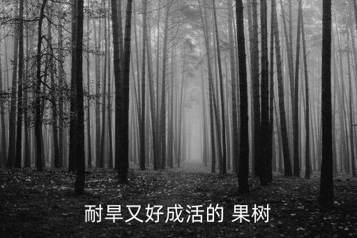 耐旱又好成活的 果樹