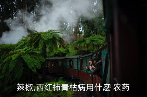 辣椒,西紅柿青枯病用什麼 農(nóng)藥