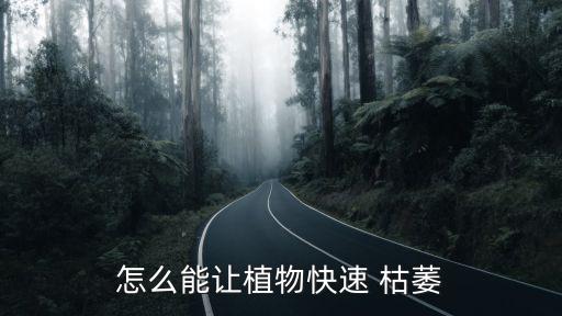 怎么能讓植物快速 枯萎