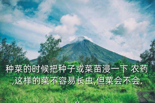 為什么農藥不傷蔬菜苗,蔬菜為什么要打農藥