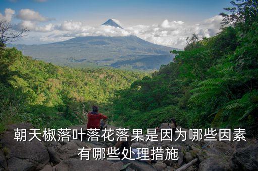  朝天椒落葉落花落果是因為哪些因素有哪些處理措施