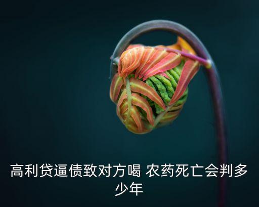 高利貸逼債致對方喝 農藥死亡會判多少年