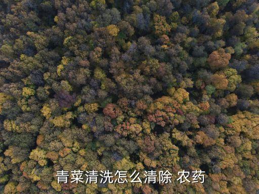  青菜清洗怎么清除 農藥