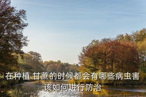 在種植 甘蔗的時候都會有哪些病蟲害該如何進(jìn)行防治