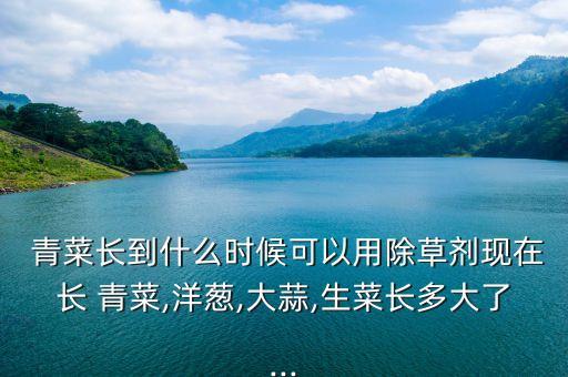 小青菜用什么農藥,青菜打什么農藥效果好
