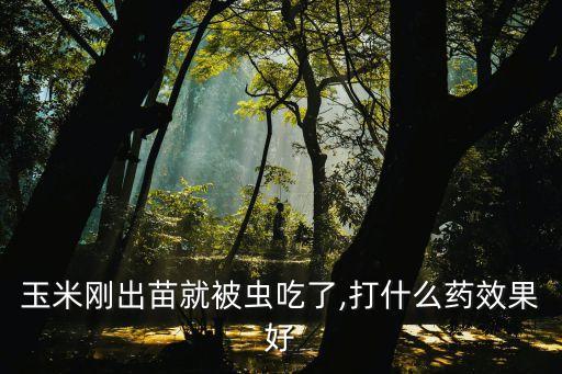 玉米地里治蟲打什么農(nóng)藥