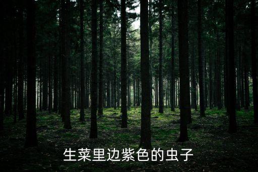 生菜里邊紫色的蟲子