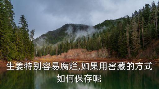 生姜特別容易腐爛,如果用窖藏的方式如何保存呢