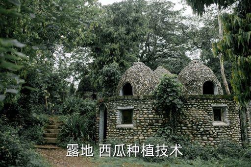 露天西瓜什么時候打農藥
