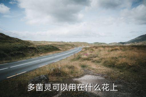 農藥店適合養什么花,適合農藥店的對聯